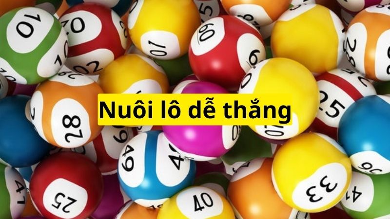 Hình thức nuôi lô dễ thắng