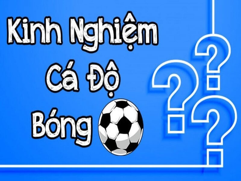 Kinh nghiệm cược kèo tài xỉu 2 3/4