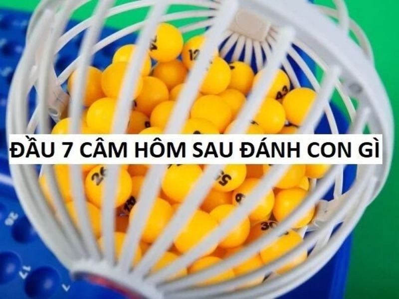 Đầu 7 câm thì hôm sau đánh con gì?