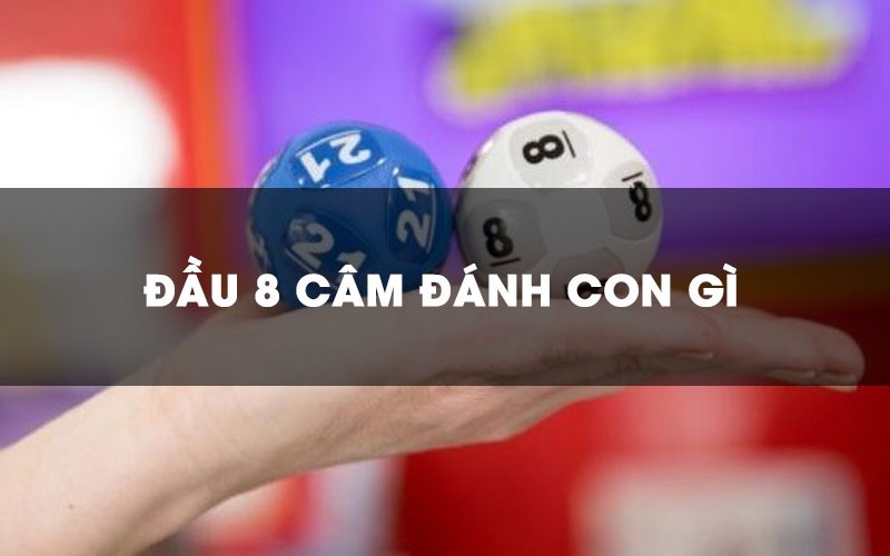 Đầu câm 8 hôm sau đánh con gì?