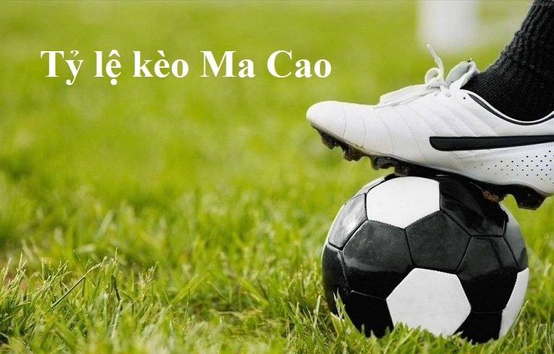 Tỷ lệ Ma Cao là gì