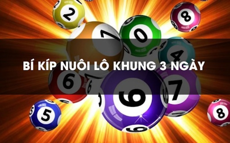 Học nuôi lô khung 3 ngày dễ nhất