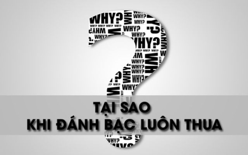 Tại sao chơi cờ bạc luôn thua?